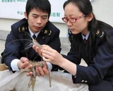 東方智啟科技APP開(kāi)發(fā)-漁業(yè)養(yǎng)殖APP開(kāi)發(fā)解決方案