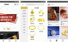 東方智啟科技APP開發(fā)-對(duì)萬(wàn)特珠寶APP測(cè)評(píng)可以看到什么
